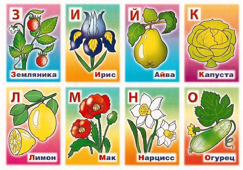 Название цветов 4 буквы. Азбука растений для детей. азбука растений и цветов. растения по алфавиту. развивающее лото азбука растений.