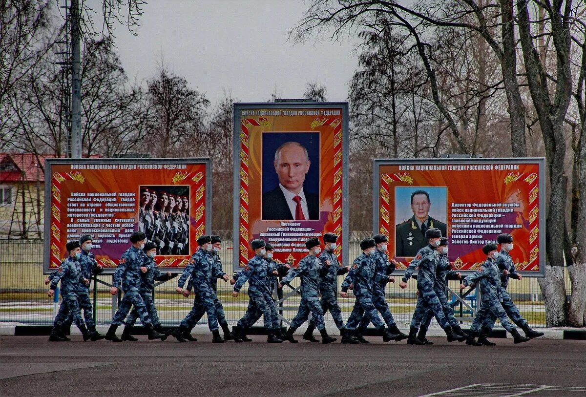 Силовые структуры и армия. Бригада оперативного назначения Ленобласти. Силовик Единая Россия. МВД И Минобороны. Инициативы мвд