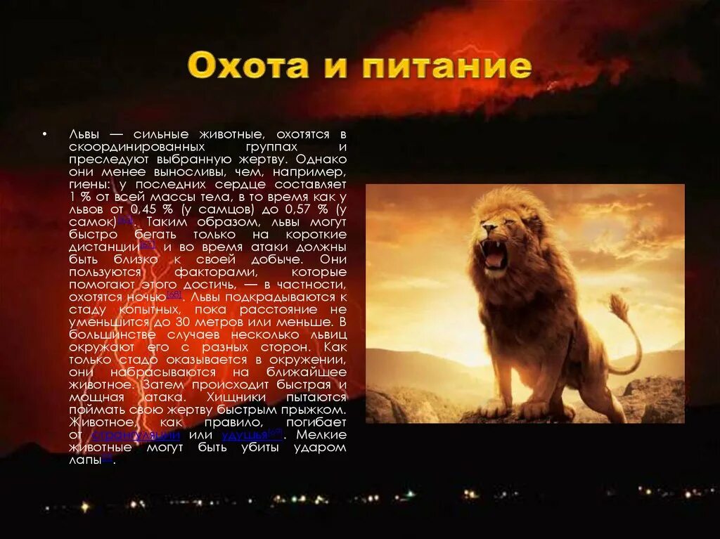 Лев способ питания