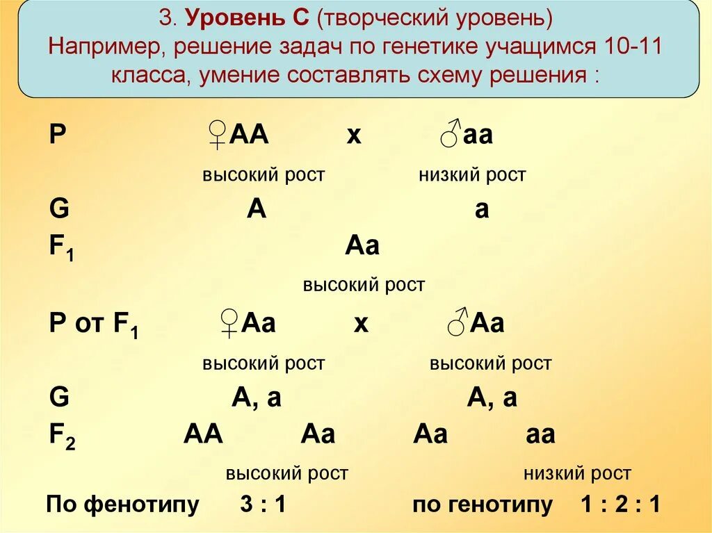 Решение задач по биологии 11 класс. Задачи по биологии 9 класс генетика. Как решать биологические задачи по генетике 9 класс. Задача по биологии на генетику 9 класс с решением. Задачи по генетике 10 класс биология.