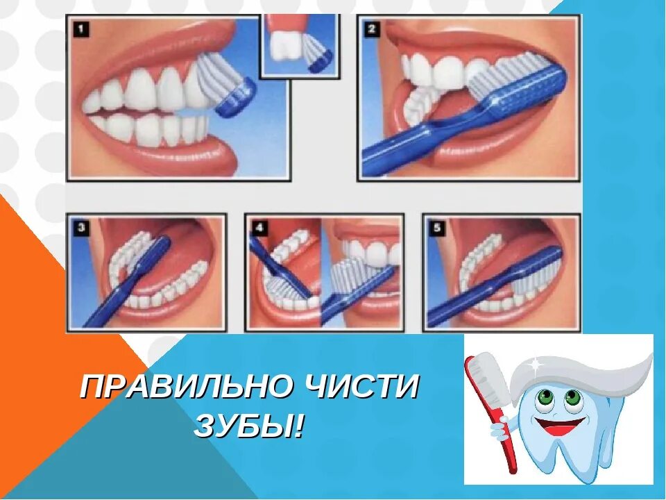 Правильная чистка зубов для детей. Правильная гигиена зубов. Как правильно чистить зубы. Правильная техника чистки зубов.