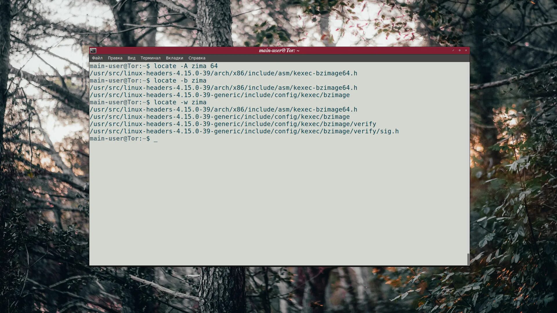 Как вставить текст в linux. Команда locate linux. команда find linux. команда more в linux. файловый сервер на linux.