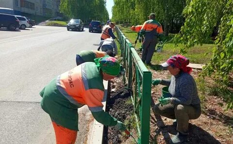 Заборы новости