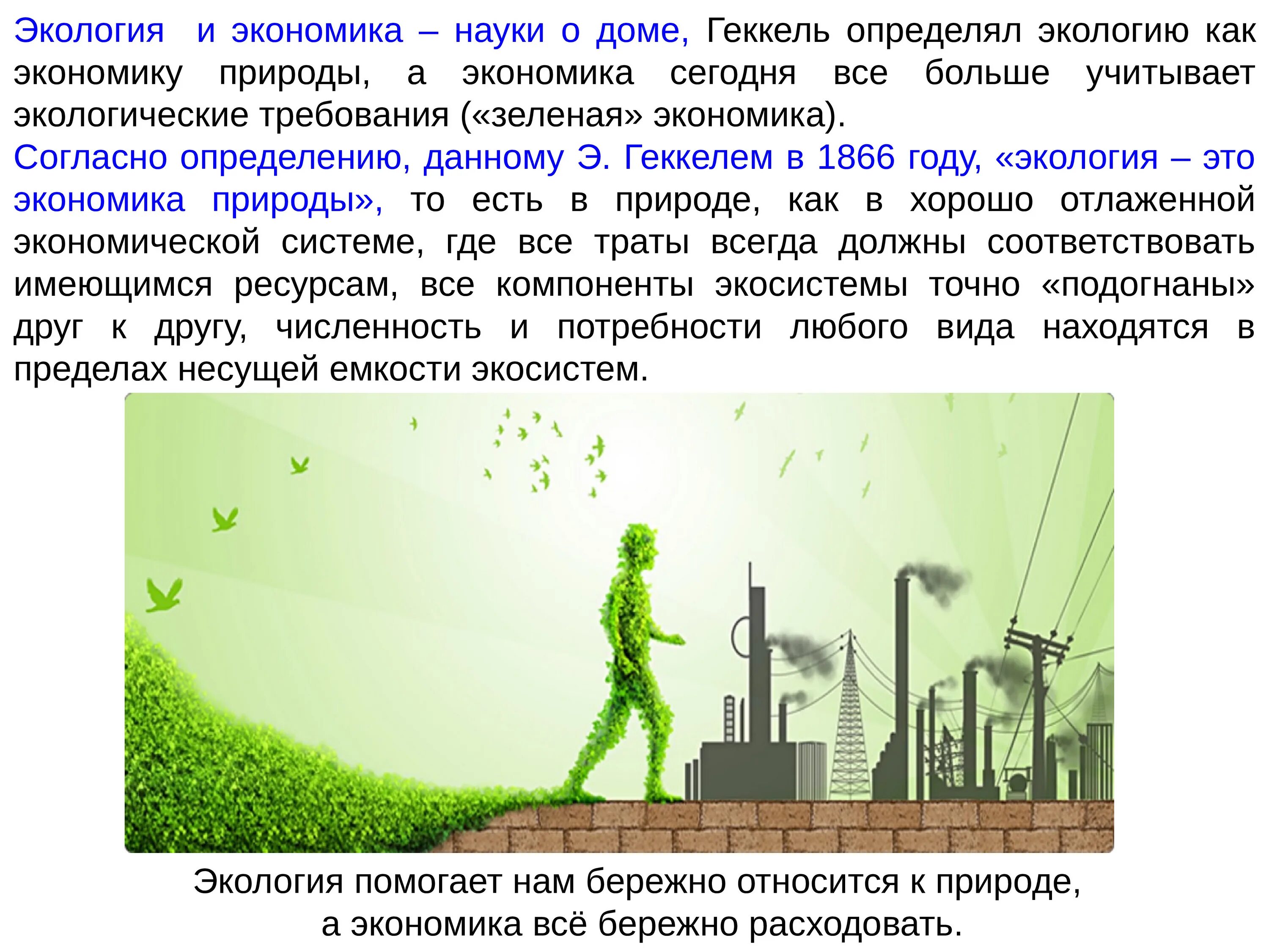 Информация о состоянии окружающей среды относится. Экономика и экология. Экологическая и экономическая. Экологические требования. Связь между экономикой и экологией.