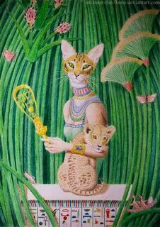 Кошка анка
