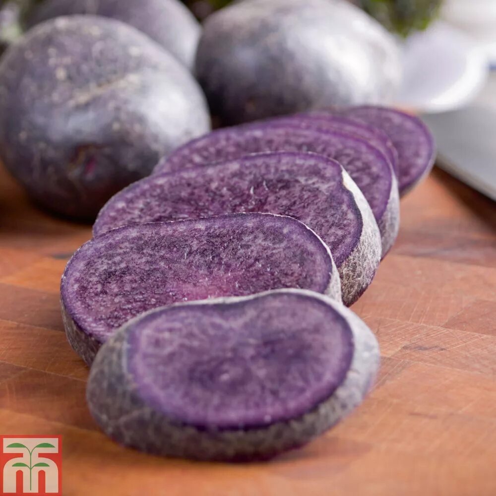 Картофель сорт гурман отзывы. Сорт картофеля перуанский фиолетовый (purple peruvian). семенной картофель сапфир. картофель сорт гурман. фиолетовый сорт картофеля багира.