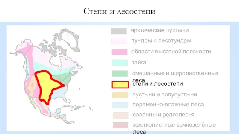 Почвы лесостепи северной америки. Степи Северной Америки карта. Степи и лесостепи Северной Америки на карте. Зона степей в Северной Америке на карте. Географическое положение степей Северной Америки.