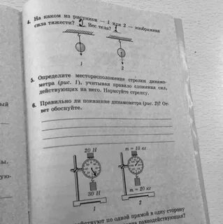 Нарисуйте месторасположение стрелки динамометра учитывая правило сложения