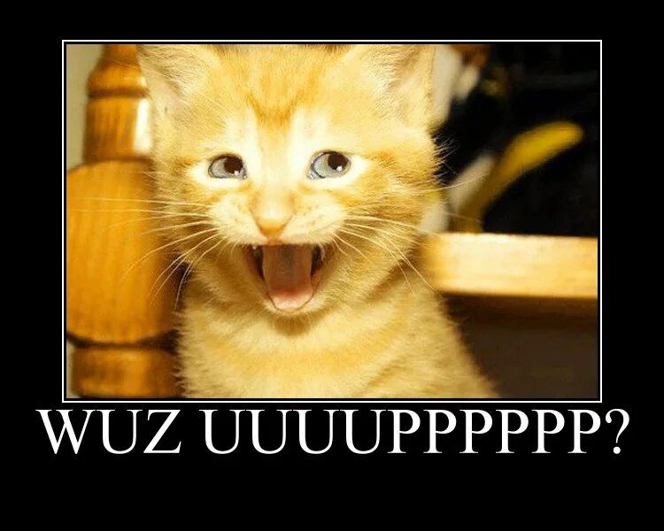 я тоже человек и мне тоже бывает больно. бывает больно. такое тоже бывает.