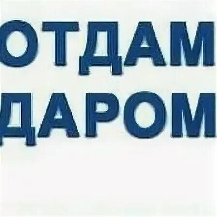 даром молодечно. отдам даром. мебель шкафы нижнегорск. шкаф даром. даром молодечно.