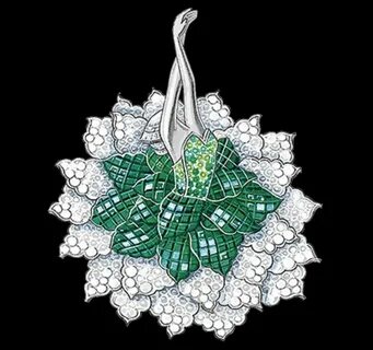 Andrea van cleef