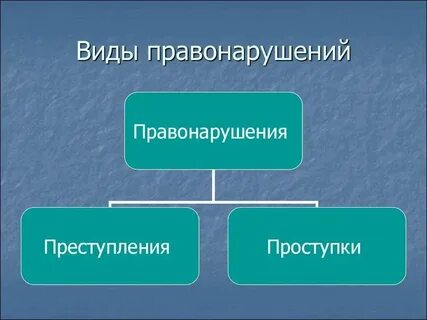 Какие правонарушения может вынести