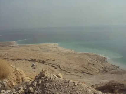 Dead sea игра