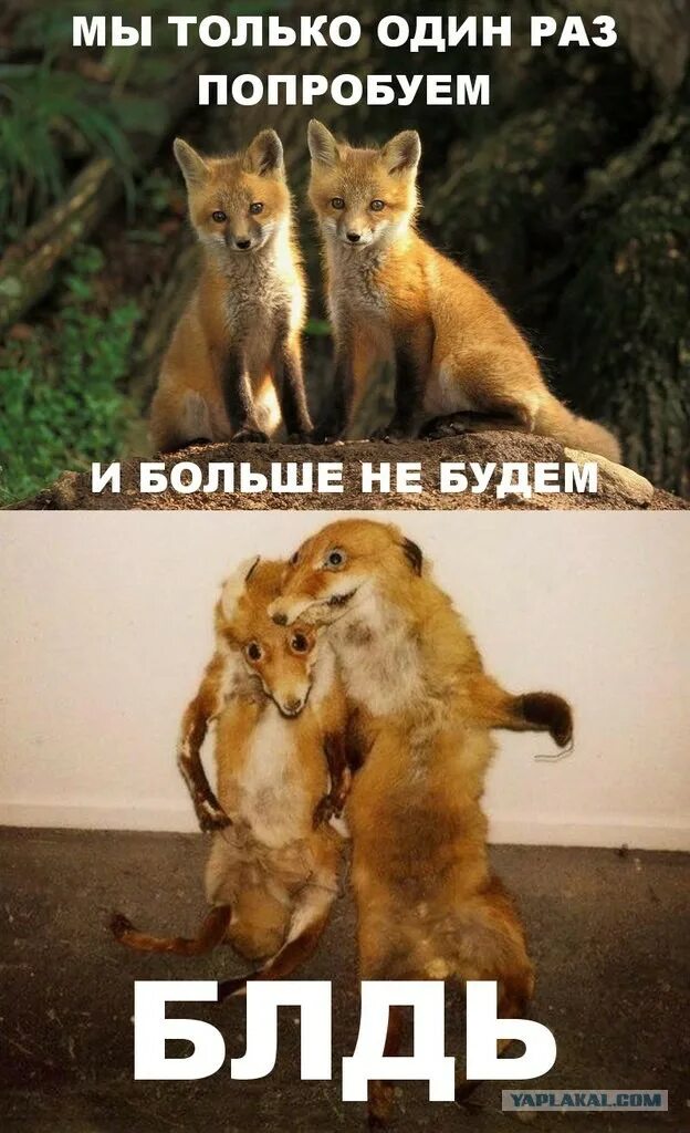 Немного слишком много