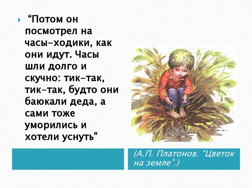 А П Платонов цветок на земле. Рассказ цветок на земле. Платонов цветок на земле презентация 3 класс. Цветы на земле Платонов pdf.