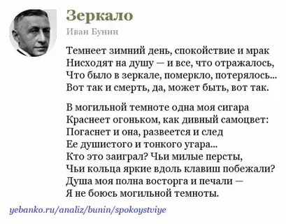 Бунин зимним