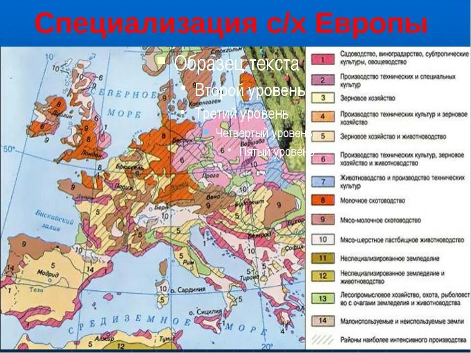 Отрасли специализации сельского хозяйства зарубежной Европы карта. Сельскохозяйственная специализация Европы карта. Три типа сельского хозяйства зарубежной Европы. Промышленность зарубежной Европы.11 класс карта.