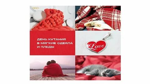 День пледа 26 октября