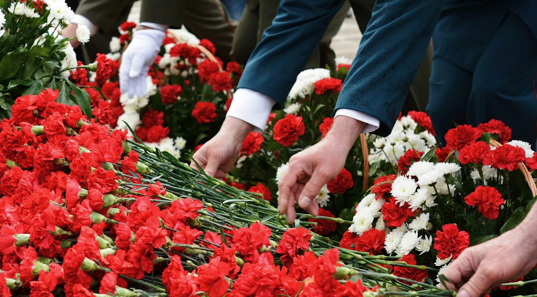 Гвоздика возложение. Цветы у памятника воинам. Красные гвоздики. Гвоздики на памятник. Красные гвоздики "день Победы".