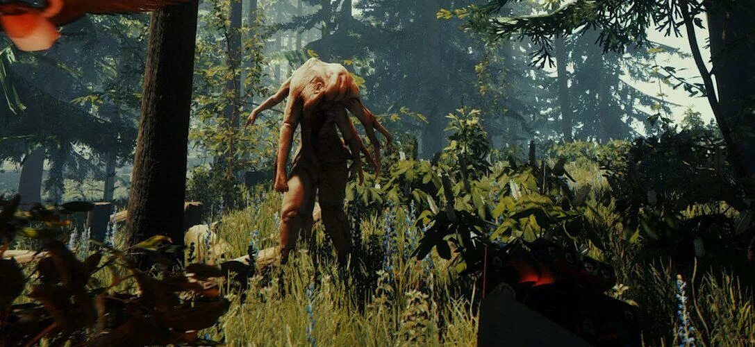 Forest crash. Forest игра. сонс форест.