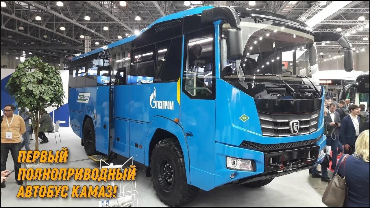 КАМАЗ 6250 автобус. Вахтовый автобус КАМАЗ 6250. Полноприводной автобус КАМАЗ 6250.