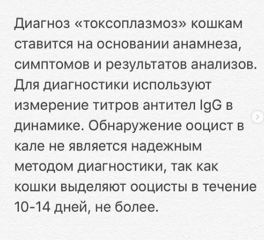 Лечение токсоплазмоза у кошек. Токсоплазмоз возбудитель симптомы. Паразиты от кошек токсоплазмоз симптомы у человека. Лечение токсоплазмоза у кошек. Кошачий паразит токсоплазма.