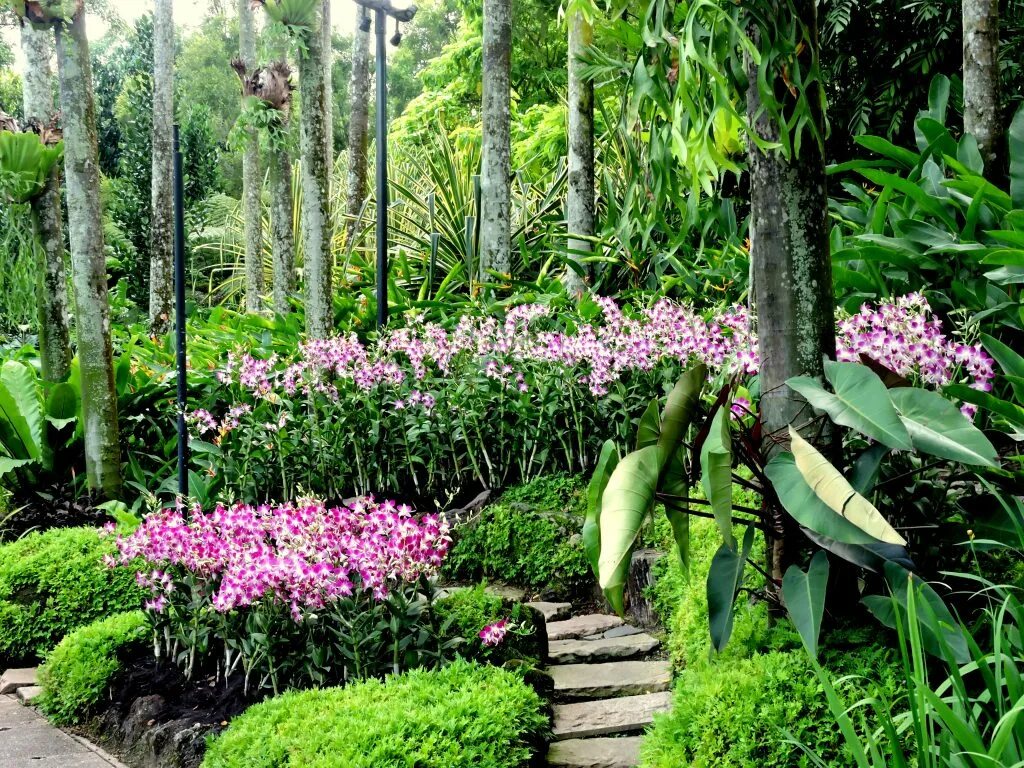 Jardin des Plantes, Paris, France - Activity Review Condé Nast Traveler