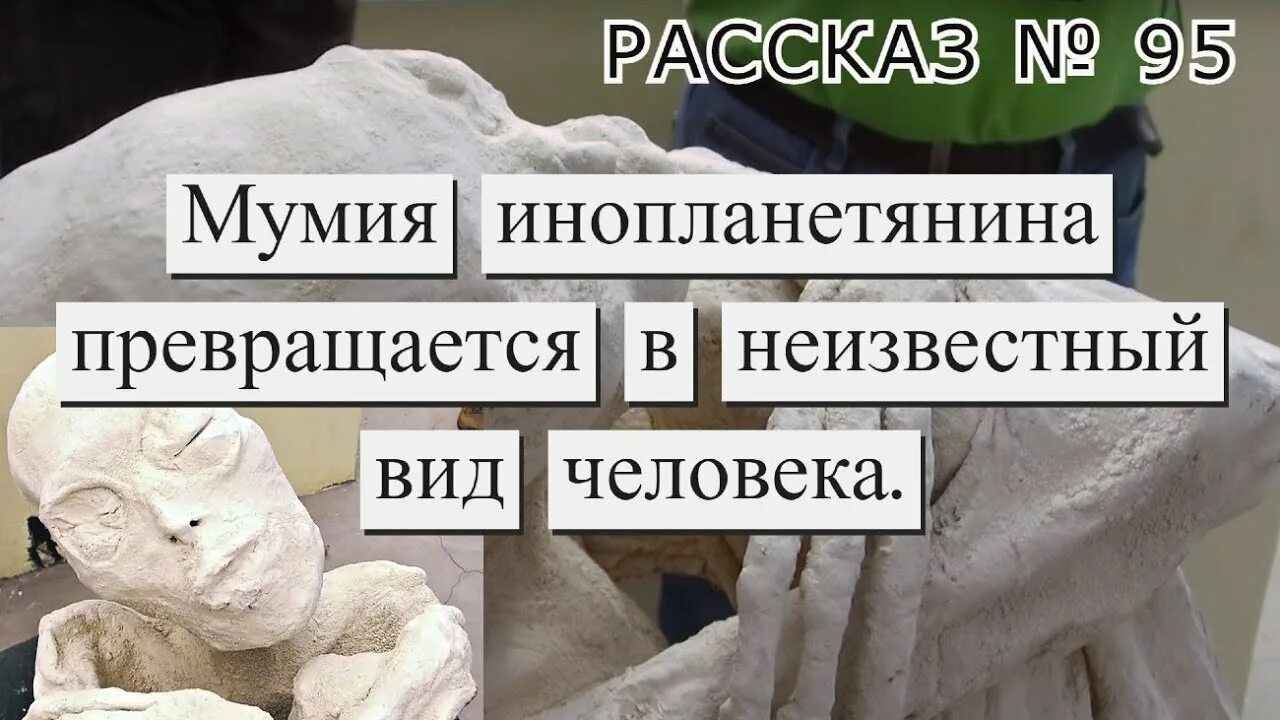 Мем с девушкой и мумией инопланетянин Популяризатор науки объяснил, как в Мексику попали тупомордые "тела пришельцев"
