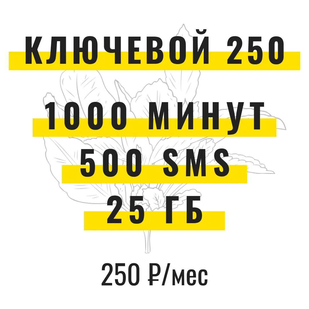 Ключевой 250 Билайн. Тариф турбо 250. Тариф за 250 Билайн. Билайн эксклюзив 250.