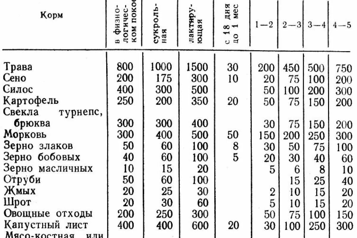 Можно кроликам картошку сырую. Кролик корм таблица. Рацион кормления кроликов таблица. Нормы кормления для кроликов таблица. Суточный рацион кормов для кроликов.