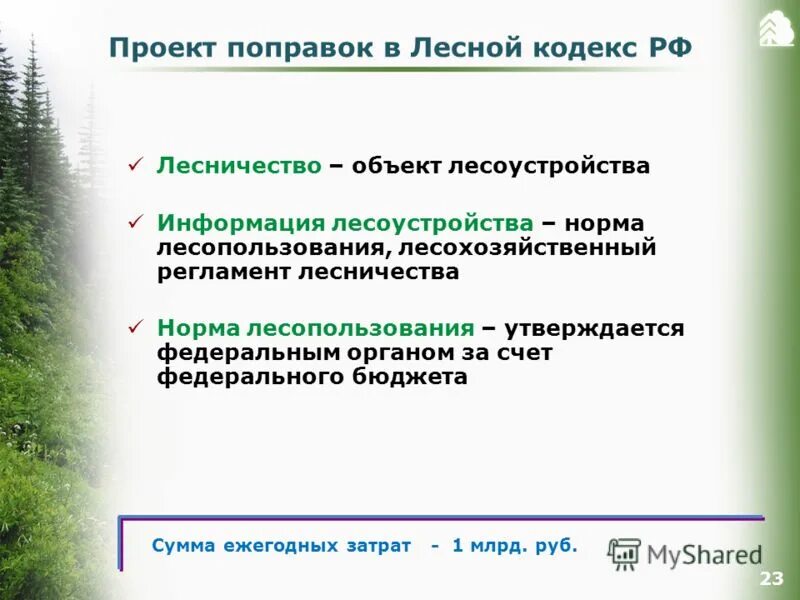 Пути решения лесных ресурсов. Пути решения проблем использования лесных ресурсов. Пути решения лесных ресурсов. Проблемы лесных ресурсов. Пути решения экологических проблем леса.