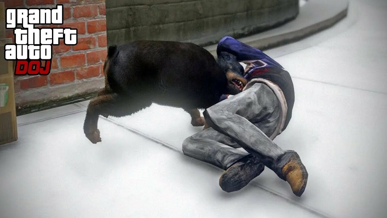 Ху лет зе догс аут. Who let the dogs out. Лайк догс аут. Who like a dogs out. Baha men who let the dogs out.