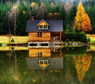 Лес вода дом