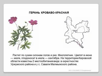 Герань книги