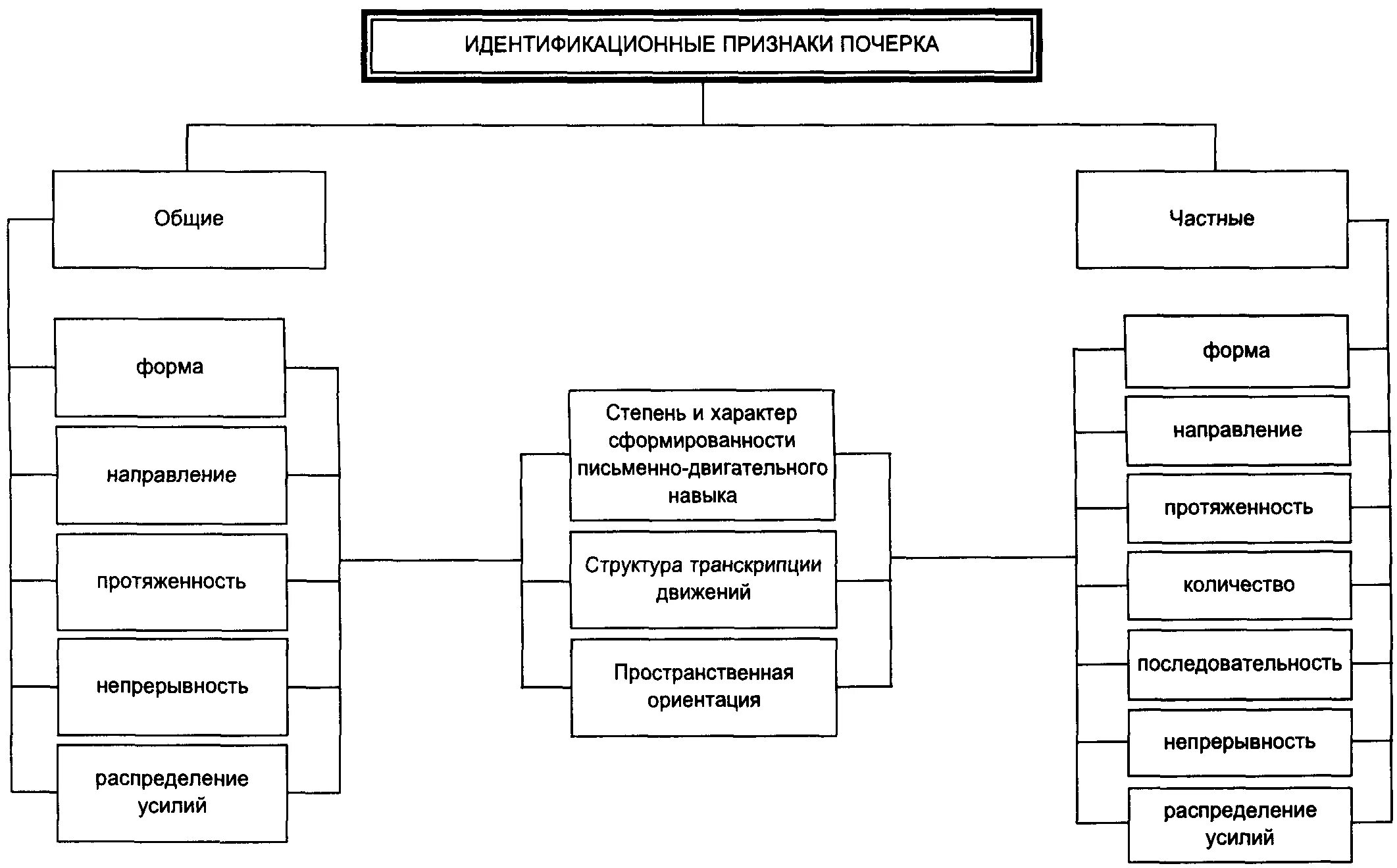 Признаки почерка в криминалистике схема. Признаки письма в криминалистике схема. Общие признаки почерка криминалистика таблица. Классификация общих признаков почерка в криминалистике.