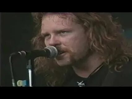 Metallica wolf