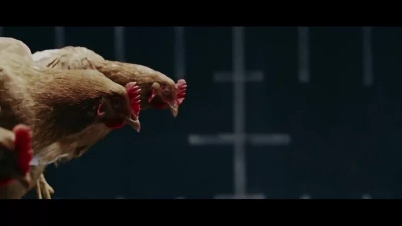 Курочки из рекламы Мерседес. Подвеска Мерседес реклама с курицей.