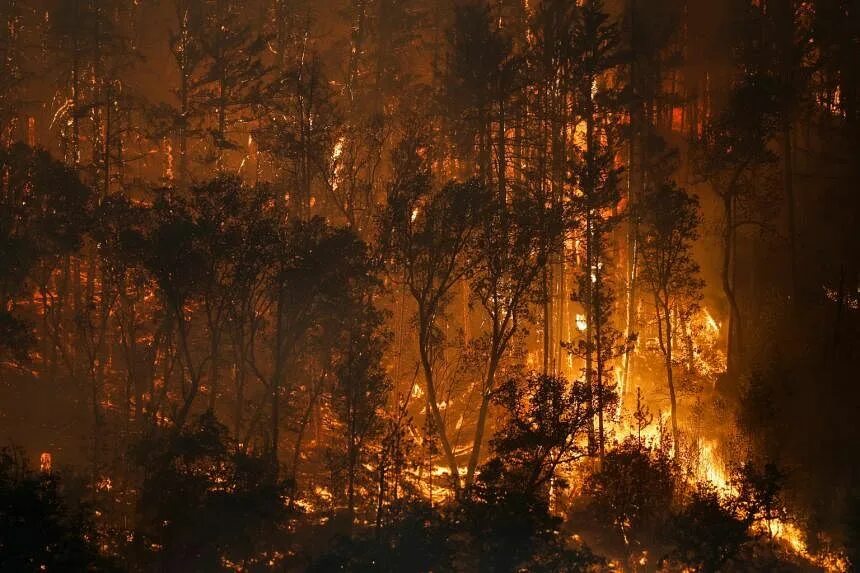 Гроза пожар. Пожар. Лесные опасности лесные пожары. Since the fire. Огонь вид сверху.