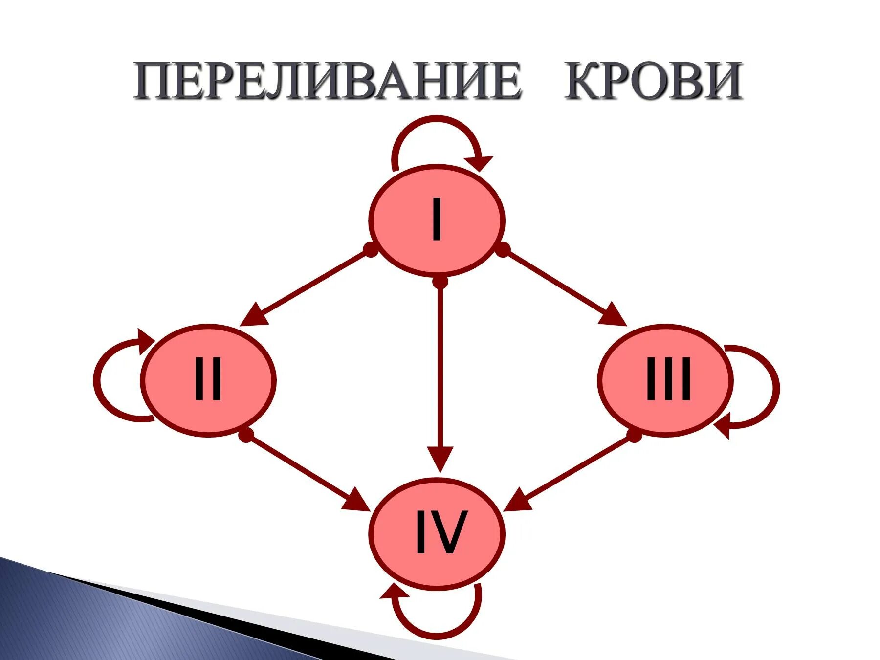 Группа крови донорская. Схема переливания групп крови. Тканевая совместимость группы крови схема переливания крови. Схема переливания крови биология. Схема переливания групп крови схема.