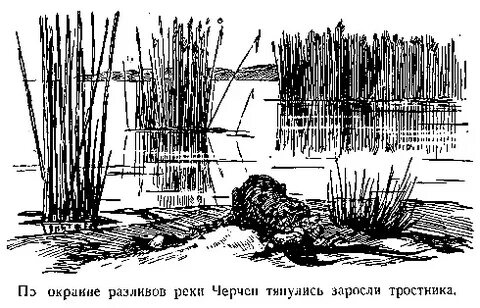 Река черчен