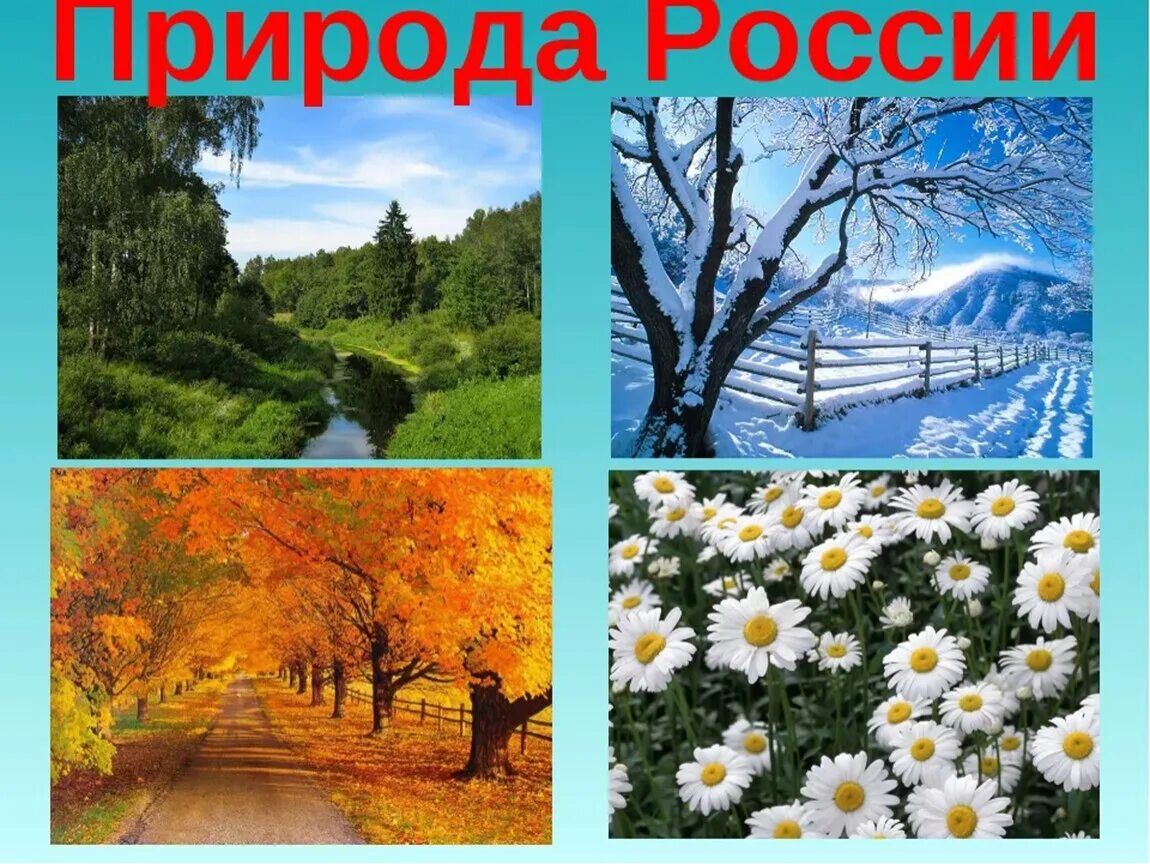 Природа России. Слайды природа России. Природа России презентация. Тема природа России. Проект времена года 2 класс