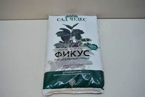 Какая земля для фикусов