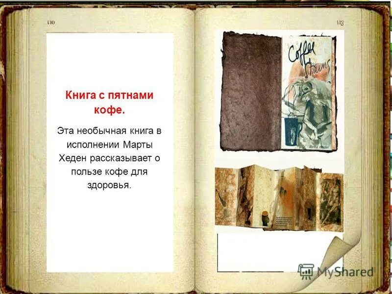 Пятна книга