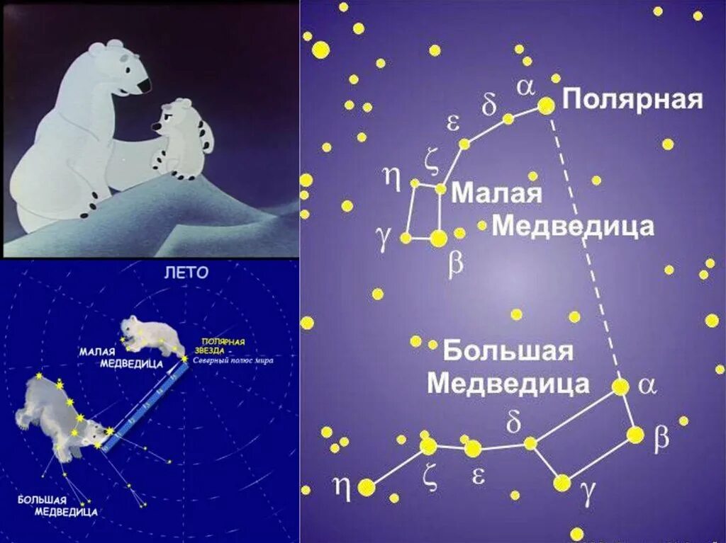 Созвездие медведица для детей. Большая Медведица малая Медведица и Полярная звезда. Полярная звезда Альфа малой медведицы. Созвездие большая и малая Медведица для детей. Полярная Медведица Созвездие.