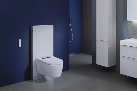 Туалеты geberit