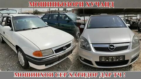 Сомон тч собака