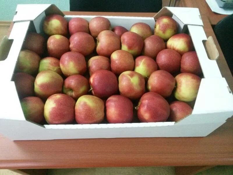 Яблоки Лигол 1кг. Ящик с яблоками. Коробка с яблоками. Яблоки в коробке.