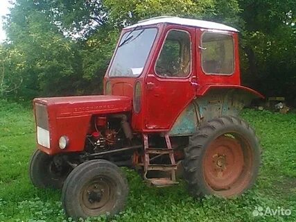 Авито псковская трактора