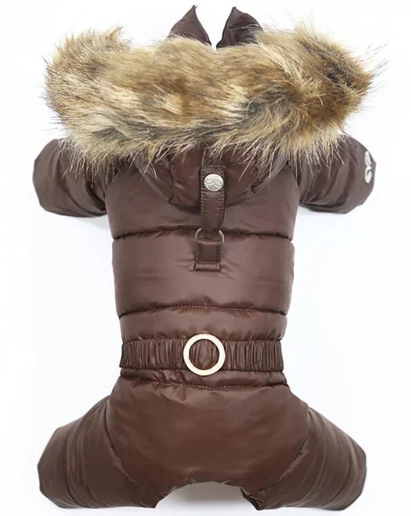 одежда для собак angel. паппи энджел. одежда для собак angel. черно в белый горошек собака. одежда для собак angel.