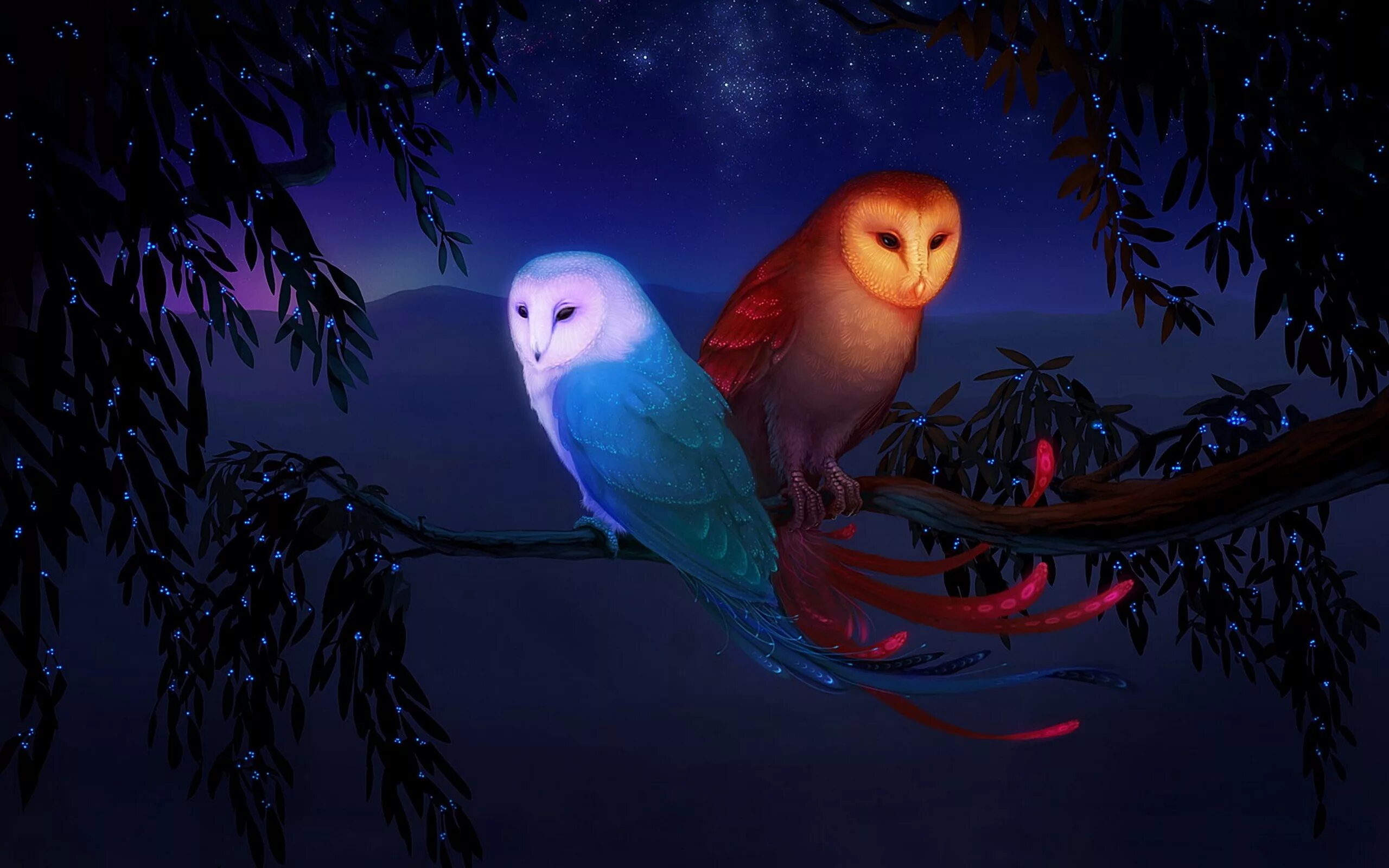 Фэнтези птицы. Птицы ночью. Волшебная птица. Птицы в лесу ночью. Попугаи в темноте